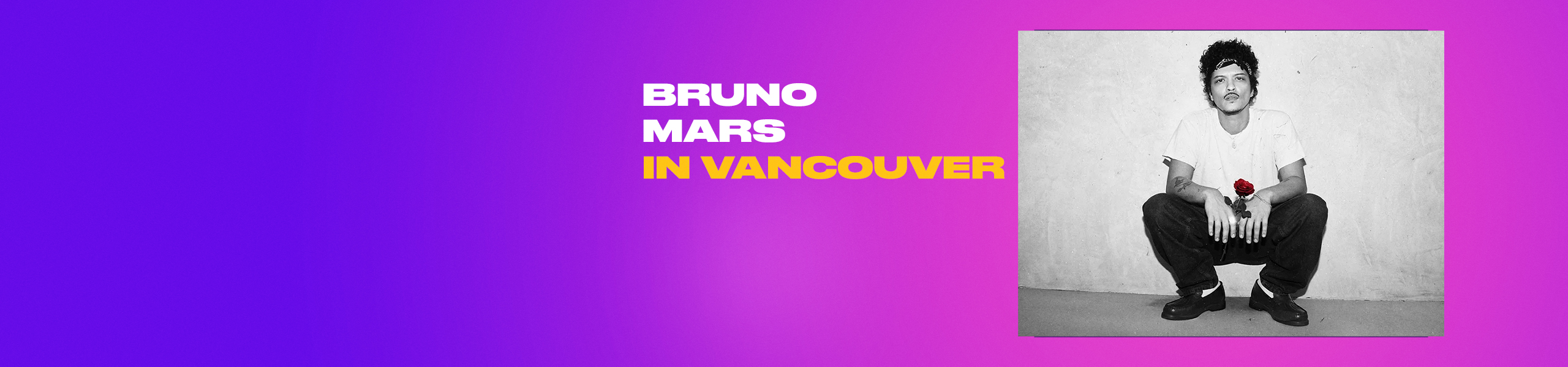 defaultKISSBrunoBANNER