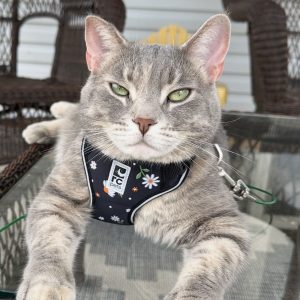 Is There Such A Thing As TOO Much When It Comes To Movie Snacks?!