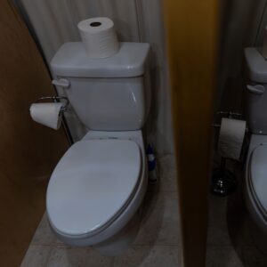 Pee on a Toilet Seat