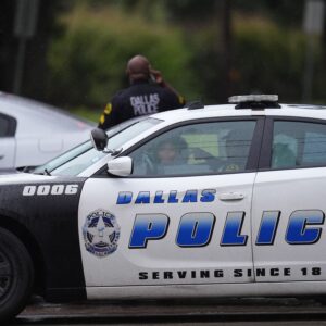 250K Worth of Male Sex Toys Goes Missing