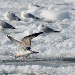Canada Has Some Hilarious Names for Its Bodies of Water