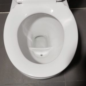 Peeing on the Seat