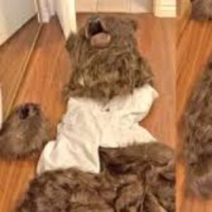 The Greatest/Dumbest Insurance Scam Ever