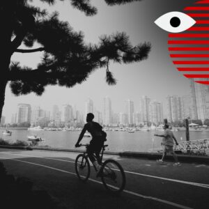 What is functional health and why is it declining for Canadians?