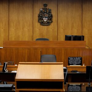 Vicki's Day in Court