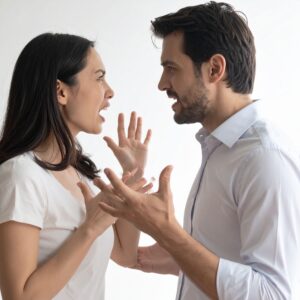 Couples Argument Starter