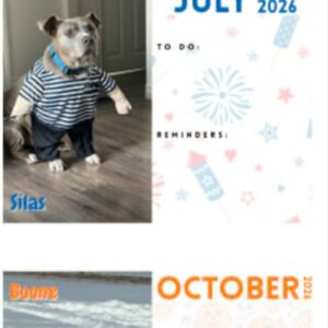 Brock And His Dog Got Scammed !