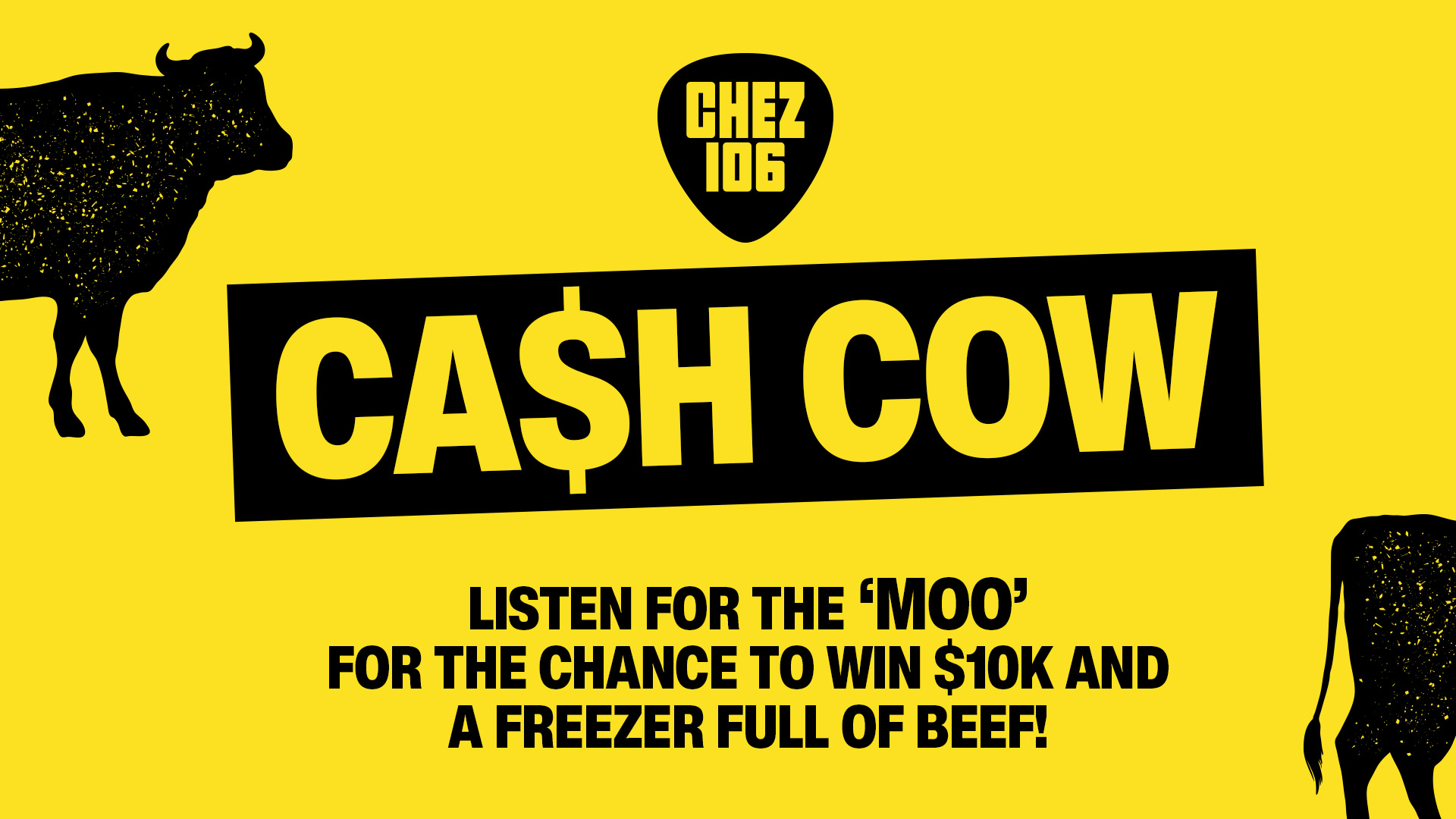 CHEZ's Cash Cow