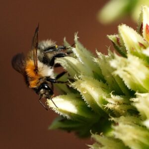 How To Stop Allergies
