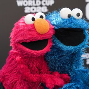 Sesame Street is Releasing a Parody Album!