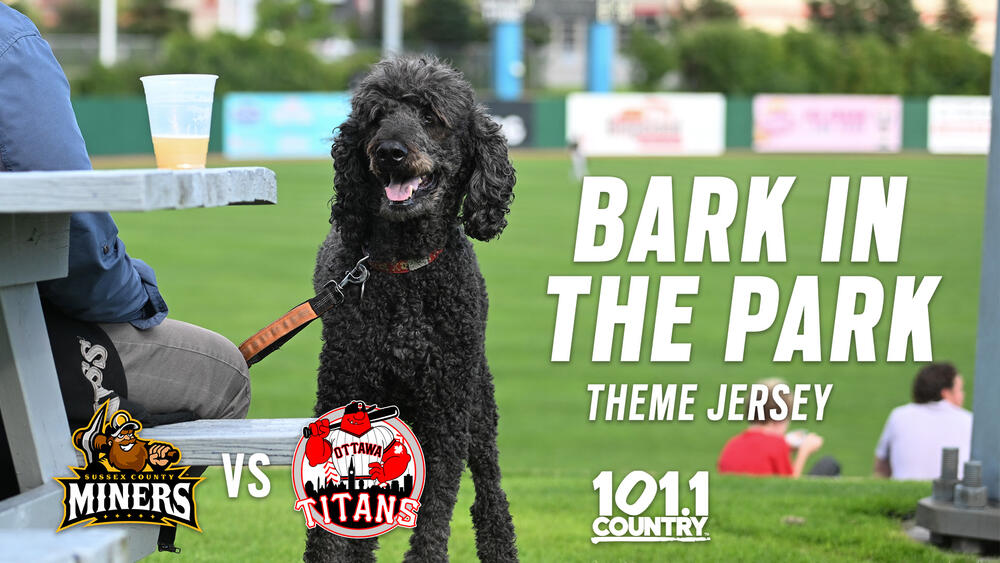 Win a 4-Pack of Tickets to Ottawa Titans on July 30!