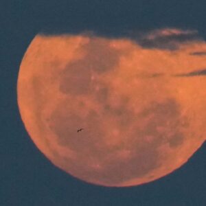 Full Moon Crazy
