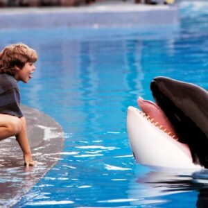 Our Pitch for the "Free Willy" Reboot