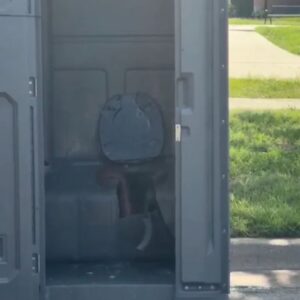 A Man Got Stuck In A Porta Potty For 8 Hours After Trying to Recover His MTN Dew