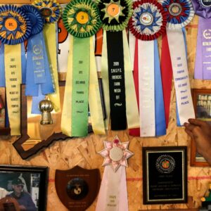 Name Game Trophies