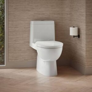 The Greatest Invention of All Time Should Be The Toilet!