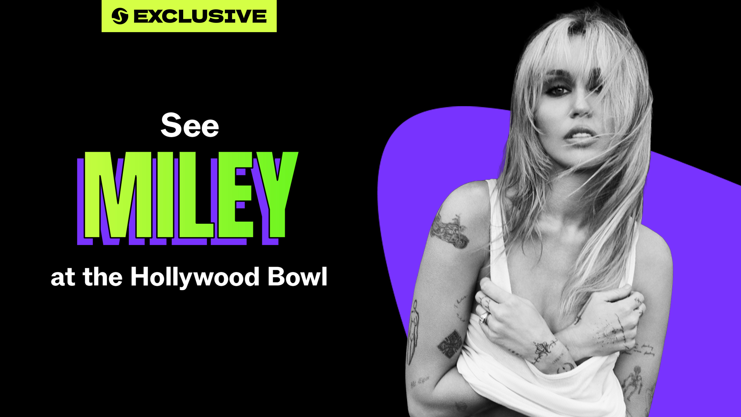 Seekr_Miley Contest Graphic_16x9