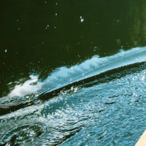 Can you pee in a lake?