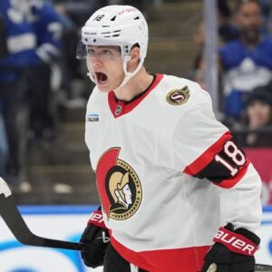 Tim Stützle's Next Step
