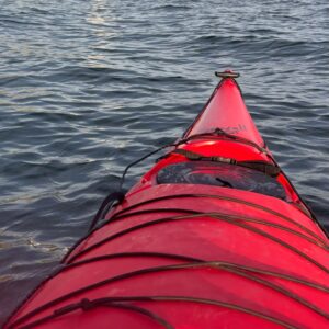 Vicki's Kayaking Update