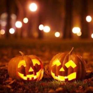 Picking The Perfect Pumpkin