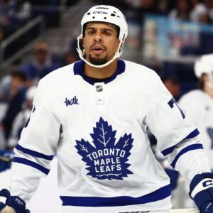 Ryan Reaves' Tenure in Toronto